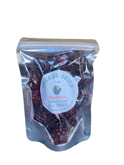 Freeze Dried Blackberries*Limited Supply