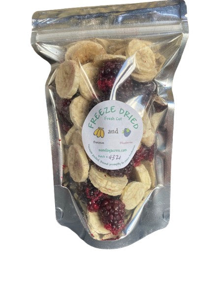 Freeze Dried Blackberry & Banana Mix